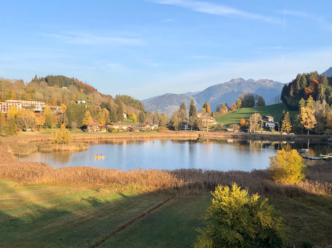 Hotel der Seehof主图