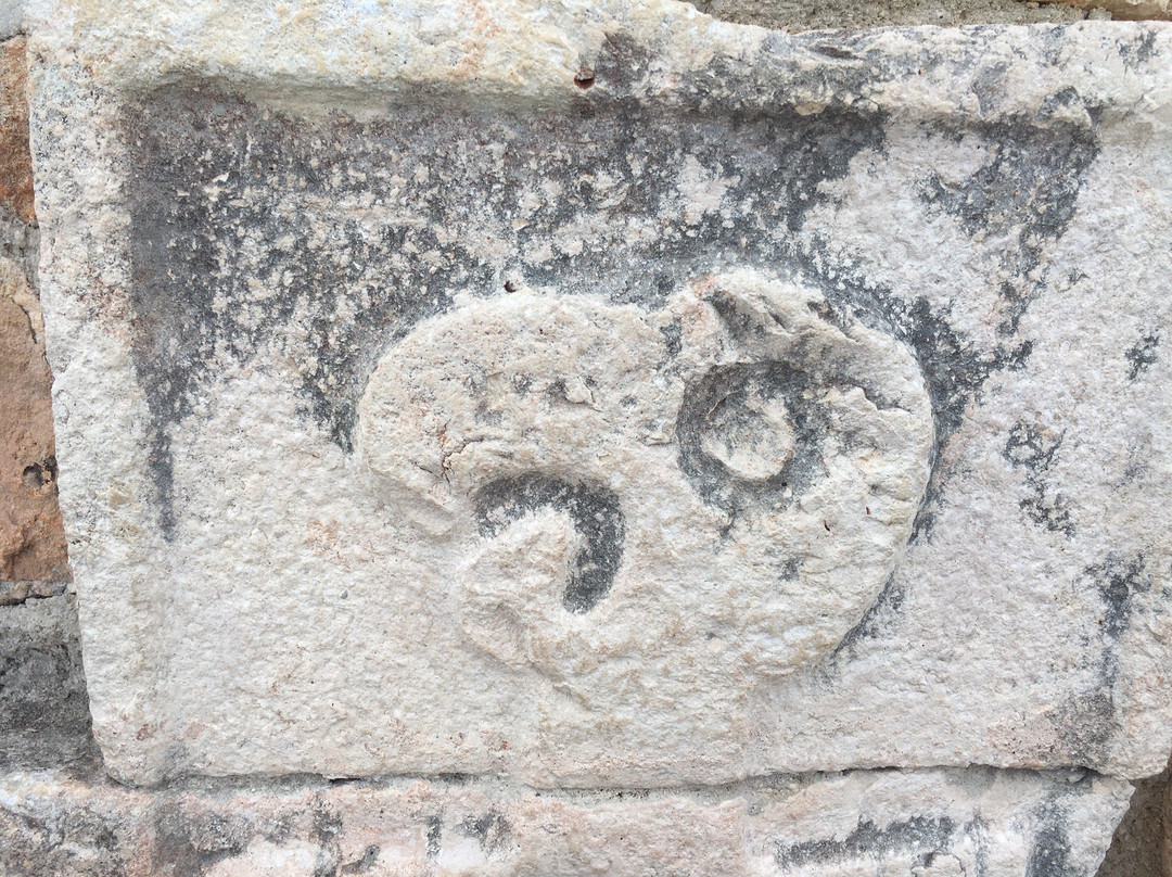 Gray Line Yucatan-梅里达必去景点