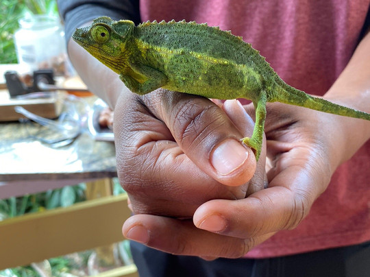 Kuaiwi Farm-库克船长必去景点