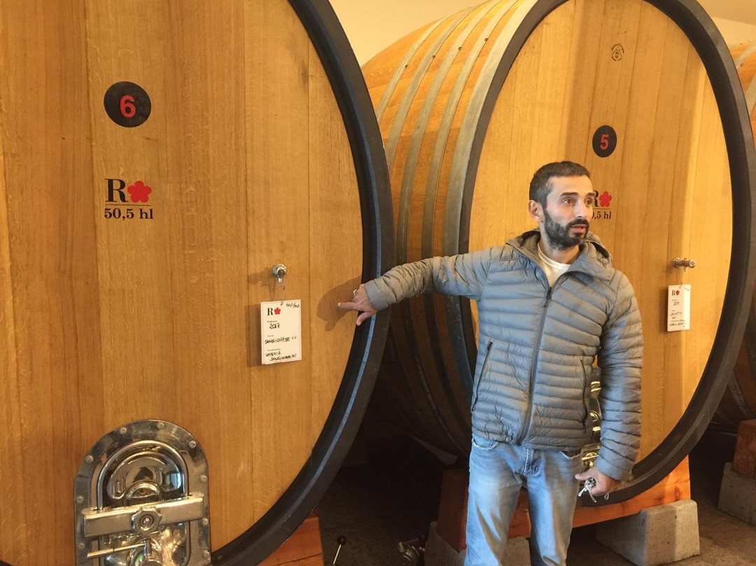 Roccafiore Winery-托迪必去景点