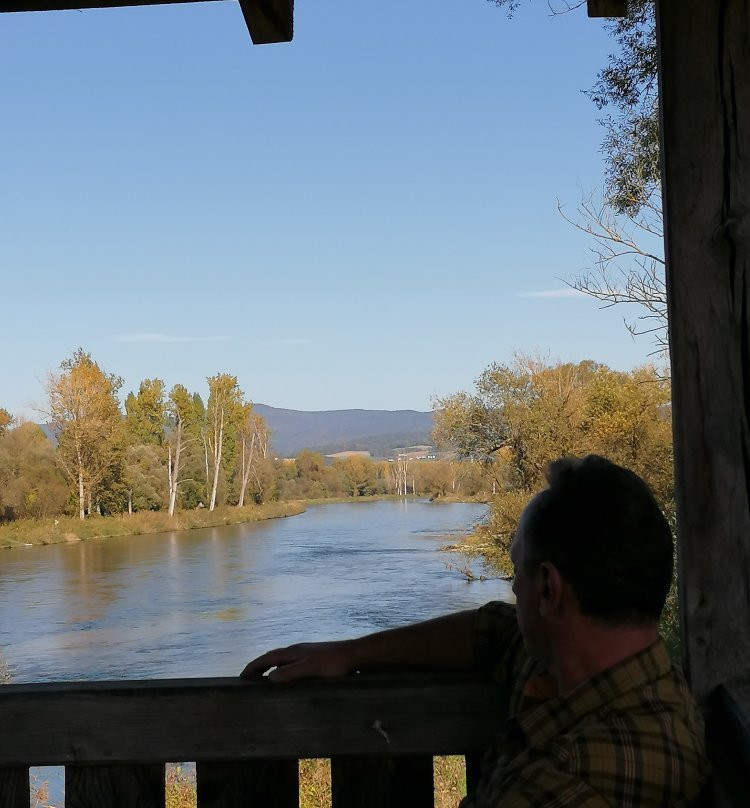 Infohaus Isarmuendung-Moos必去景点