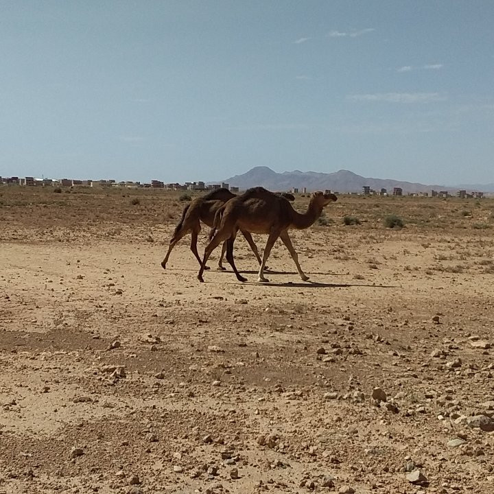 Missour旅游攻略图片