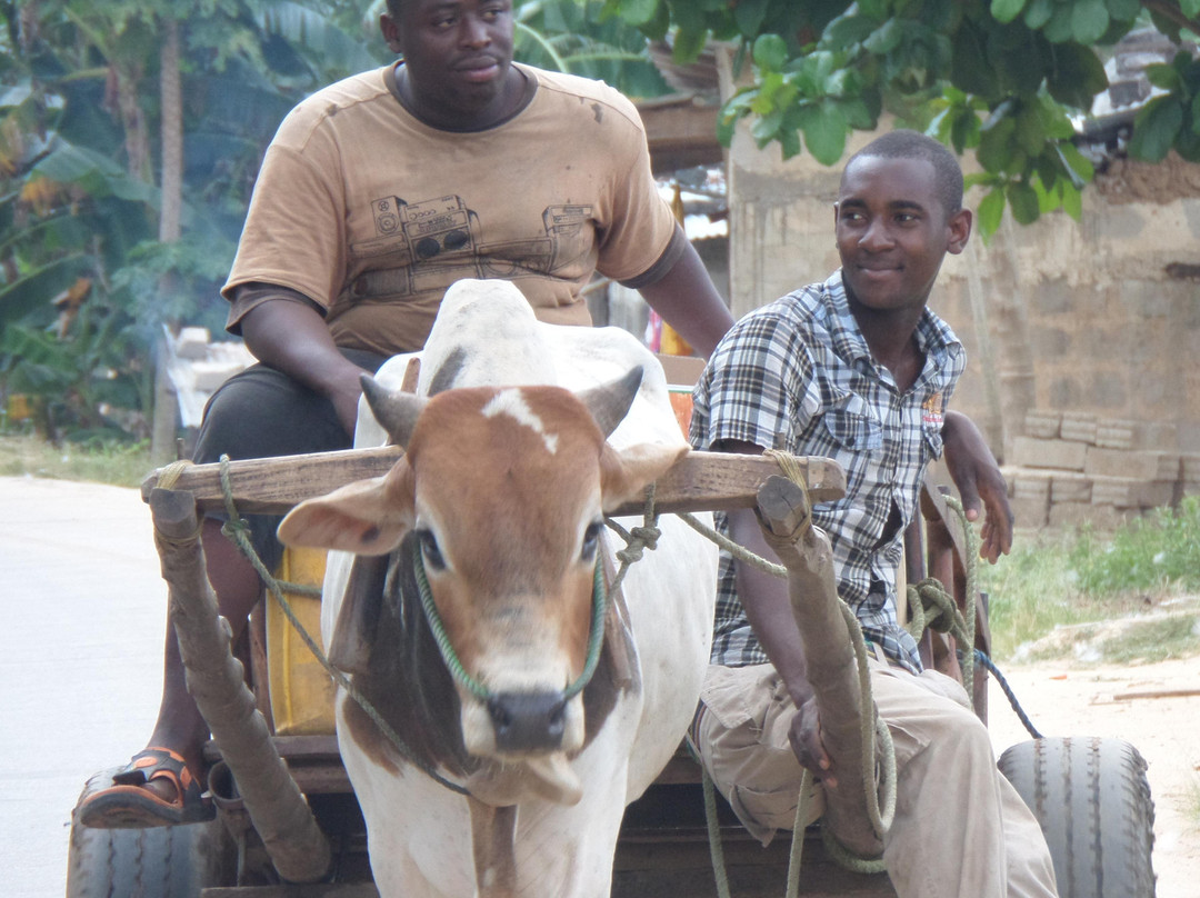Swahili Family Tours-桑给巴尔岛必去景点
