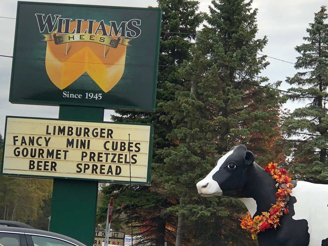 Williams Cheese Factory Outlet景点图片