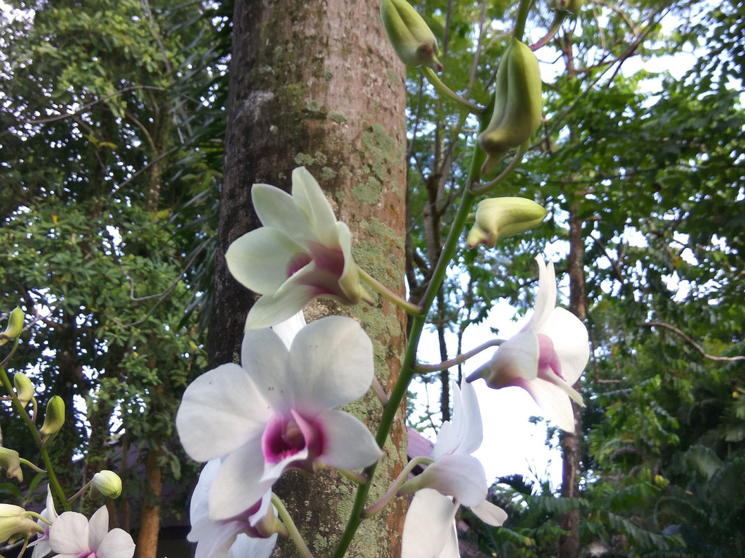 象岛罗摩衍那度假村主图