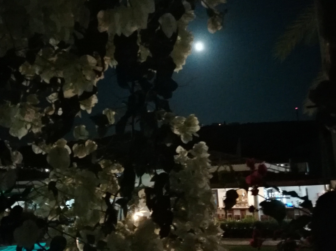 Hylatio Tourist Village主图