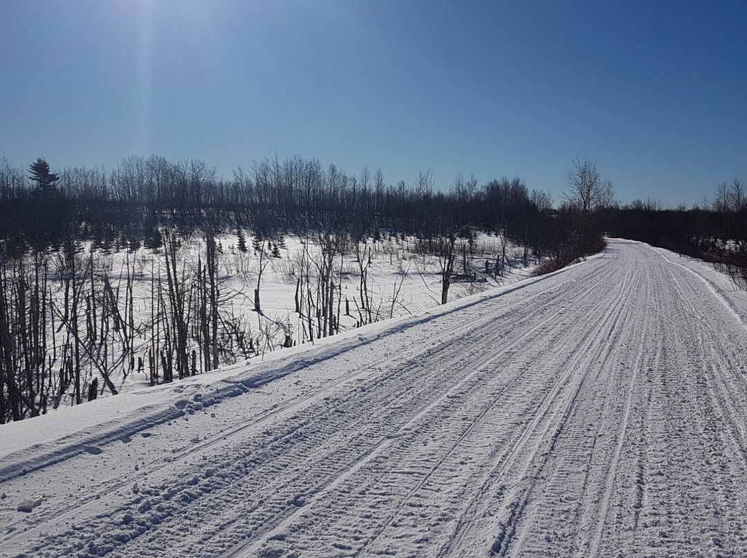 Nepisiguit Snowmobile Trails景点图片