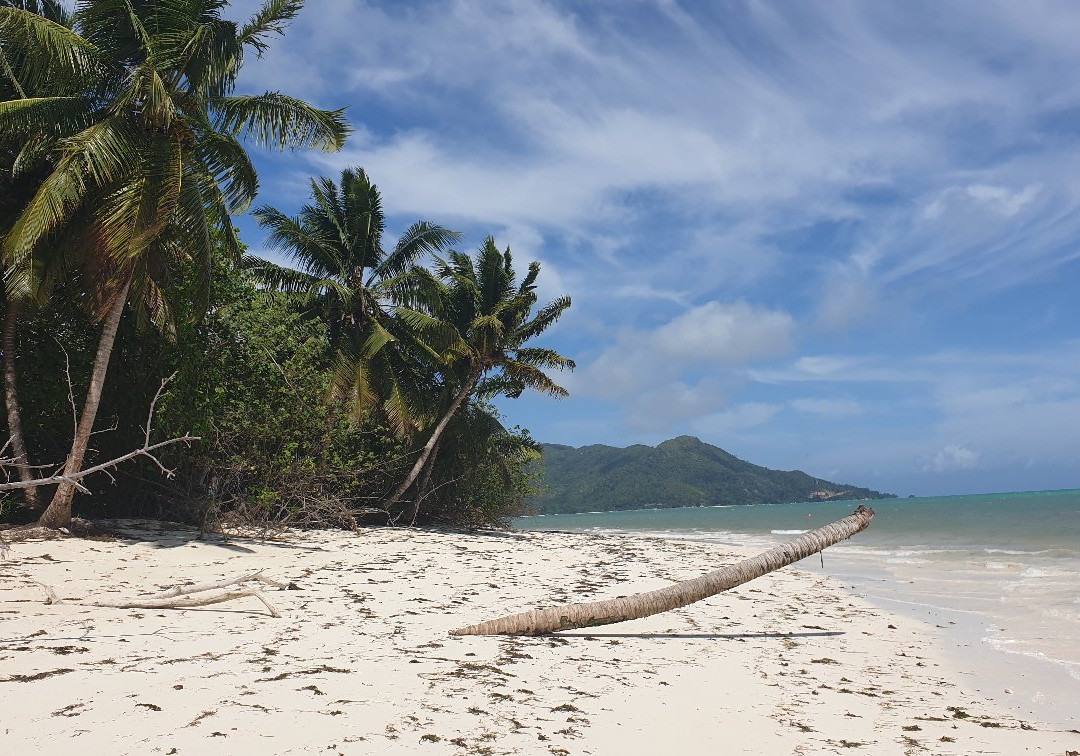 热带别墅酒店主图