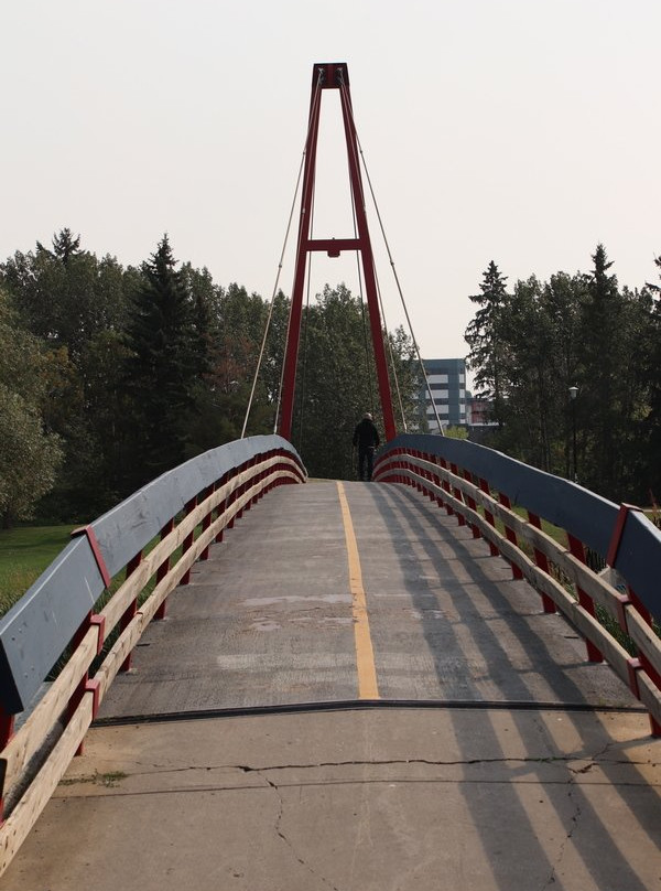 Children’s Bridge-圣艾伯特必去景点