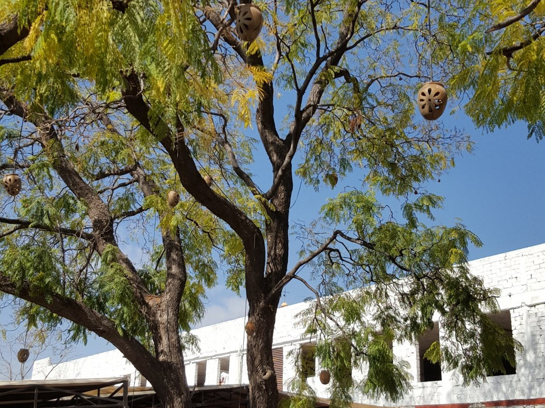 Centro de Desarrollo Artesanal Indigena CEDAI-克雷塔罗必去景点