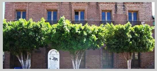Museo Casa del General Alvaro Obregon景点图片