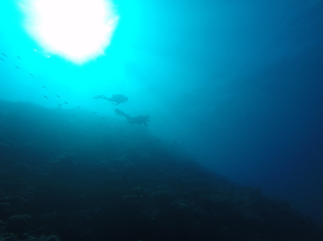 Jean-Michel Cousteau Diving景点图片