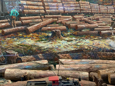 Forest Heritage Center Museum-Broken Bow必去景点