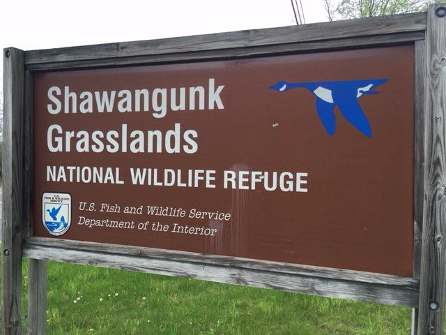 Shawangunk Grasslands National Wildlife Refuge景点图片