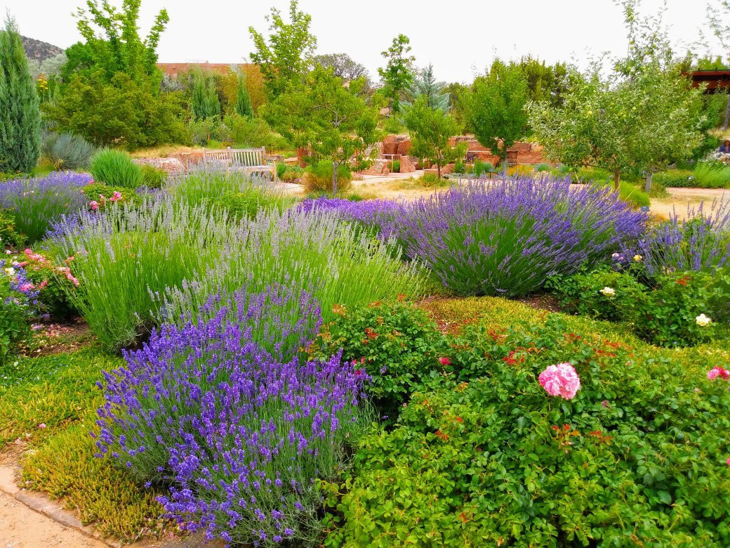 Santa Fe Botanical Garden景点图片