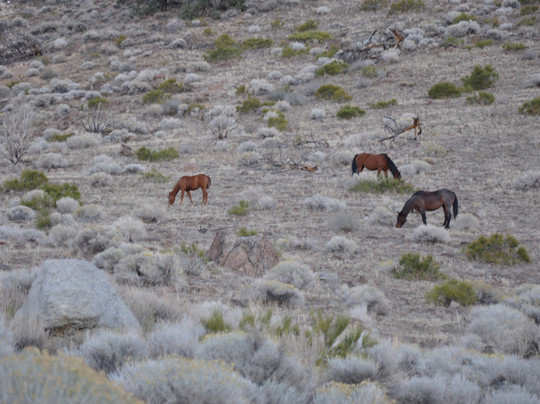 Bayline Tours-弗吉尼亚市必去景点