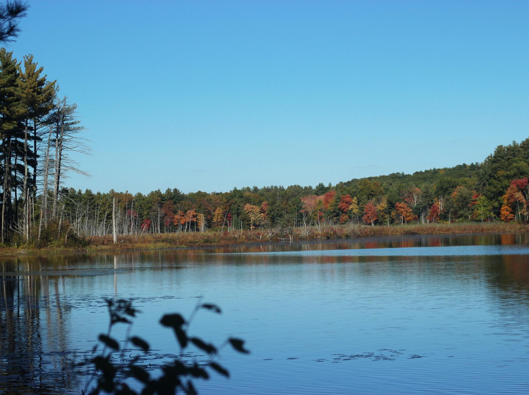 Assabet River National Wildlife Refuge景点图片