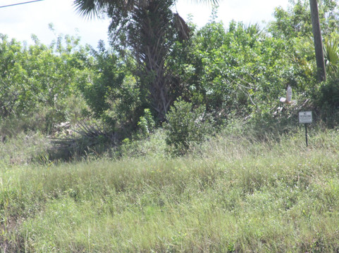 Hungryland Slough Natural Area-西棕榈滩必去景点