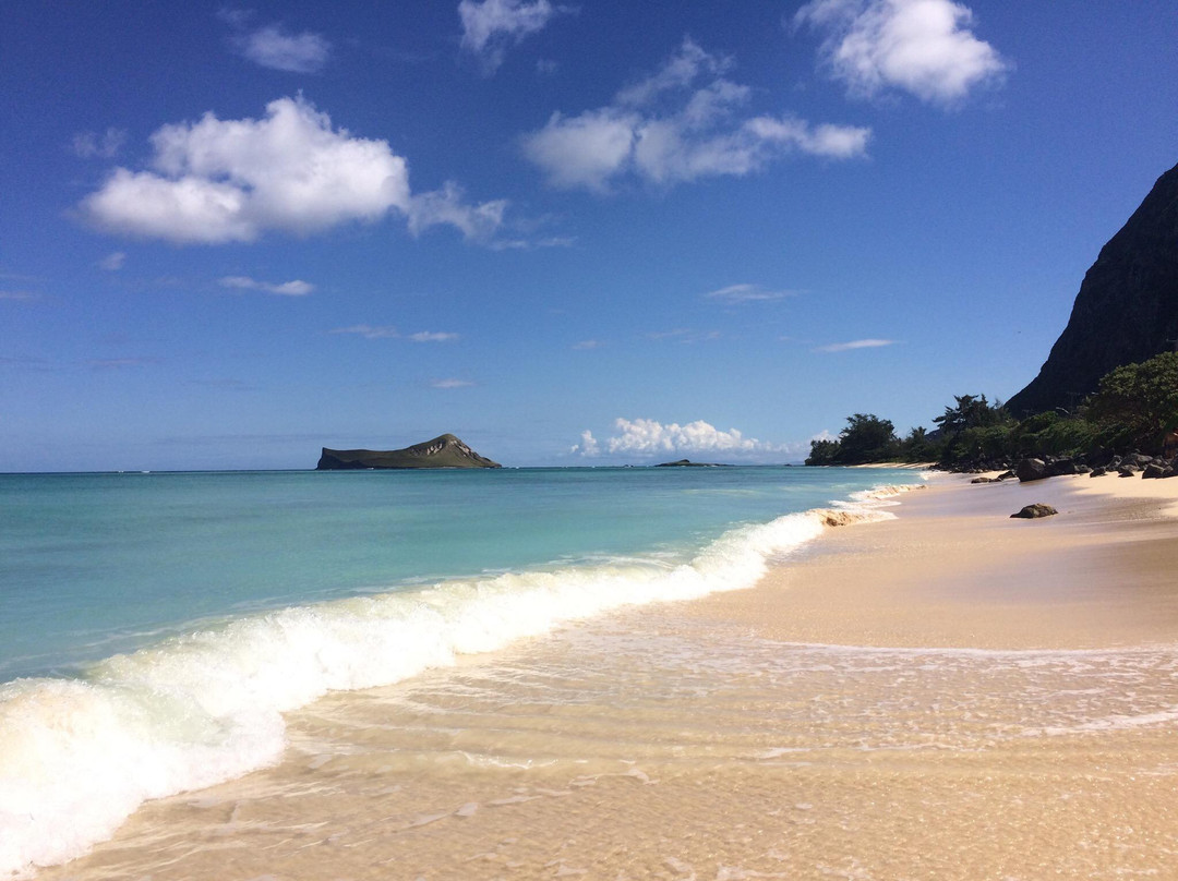 Kaiona Beach Park景点图片