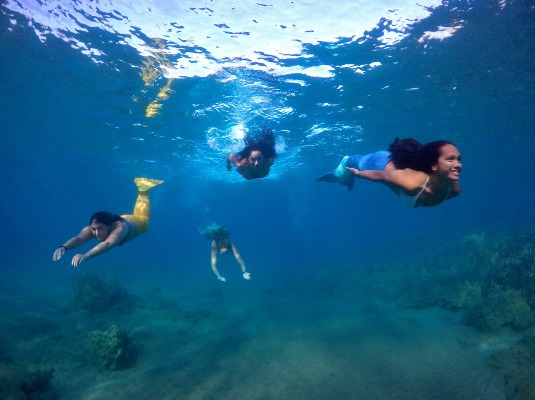 Hawaii Mermaid Adventures景点图片