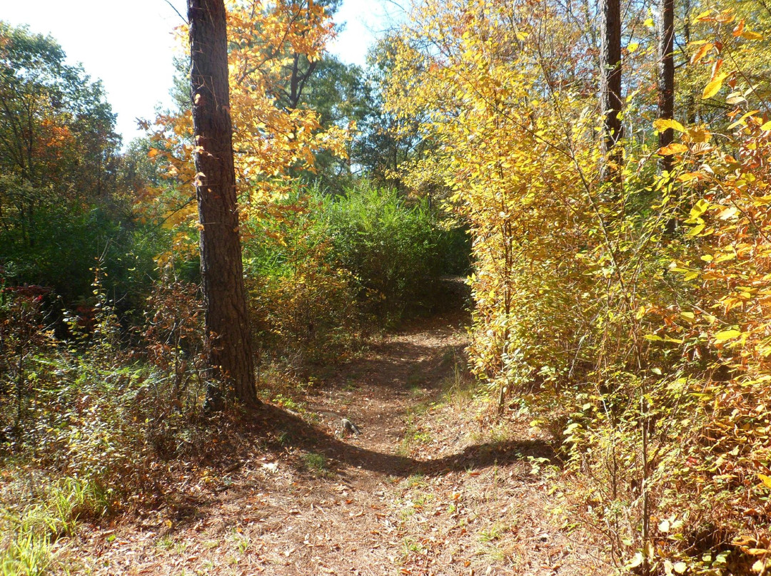 Cedar Glades Park景点图片
