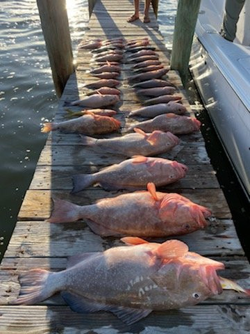 Always & Forever Charters LLC-Cape Haze必去景点