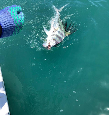 Fishing Vacations-梦城必去景点