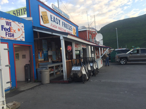 Easy Freeze, Inc-瓦尔迪兹必去景点