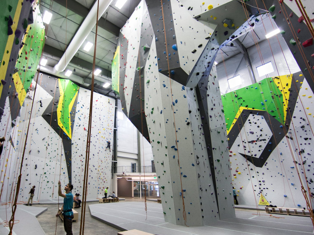 Chelsea旅游景点-High Point Climbing and Fitness