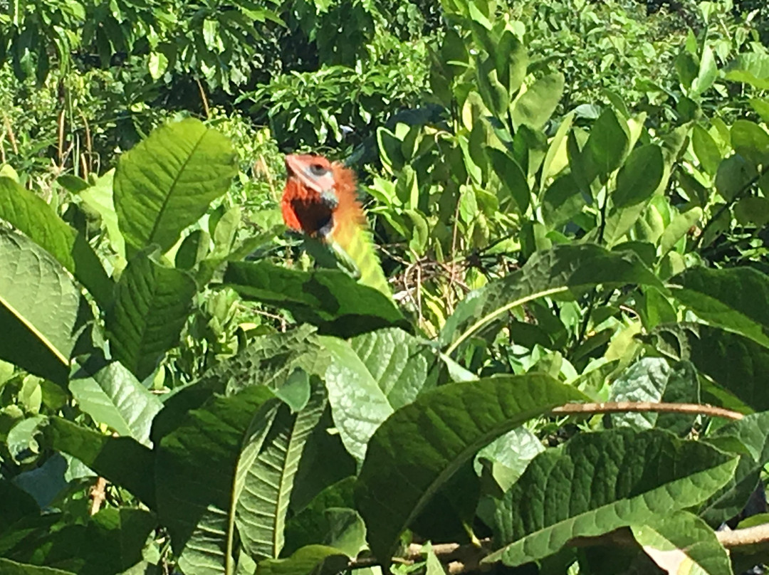 亚洲珠宝精品酒店主图
