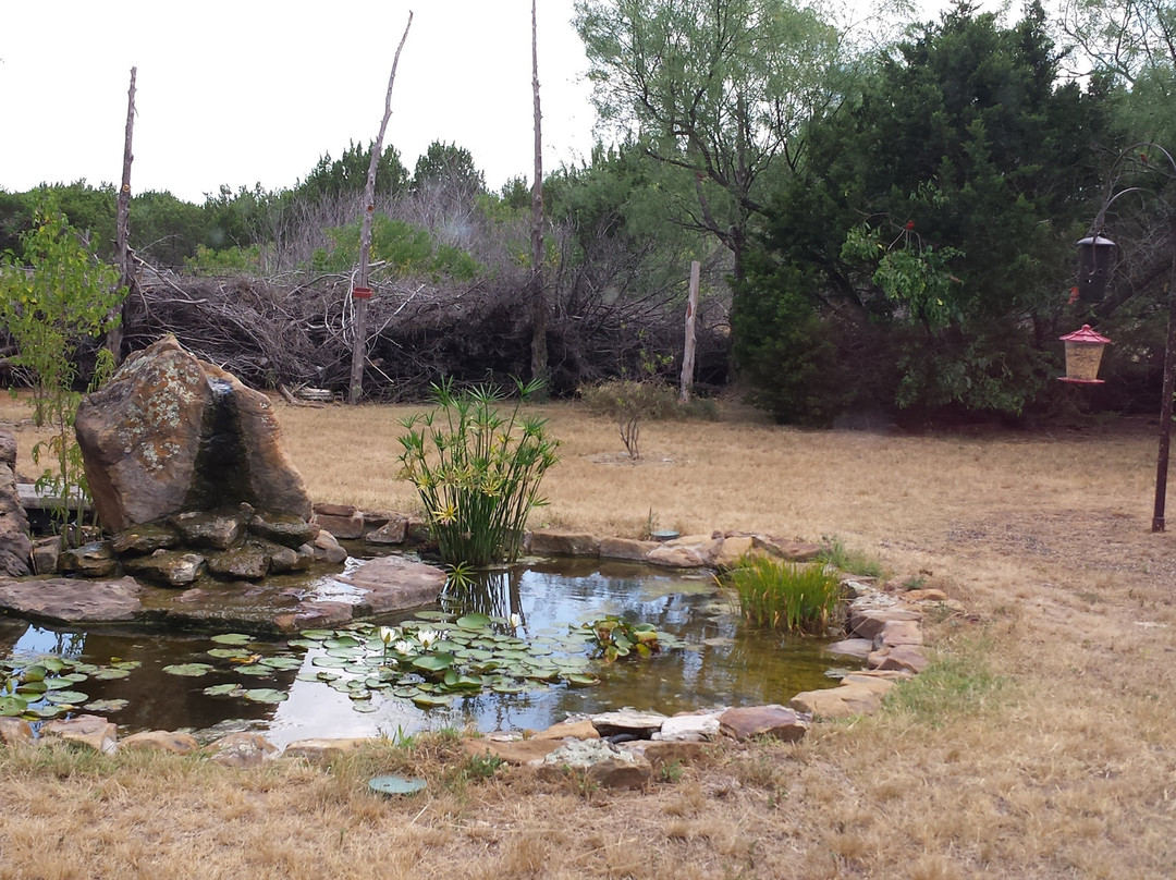 Acton Nature Center of Hood County景点图片