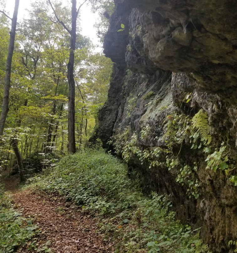The Highlands Nature Sanctuary景点图片