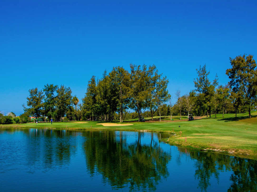 Golf Las Americas景点图片