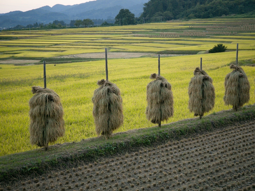 Kunugidaira Rice Terraces景点图片