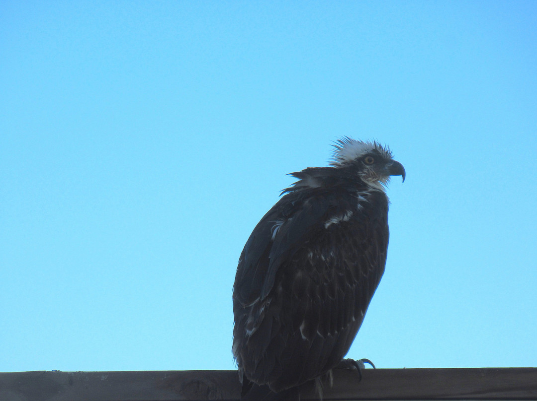 Bruce Bowker's Carib Inn主图