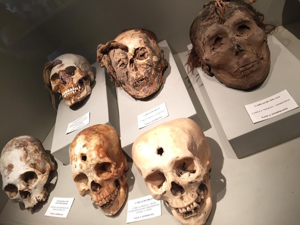 纳斯卡旅游景点-Didactic Museum Antonini (Museo Antonini)