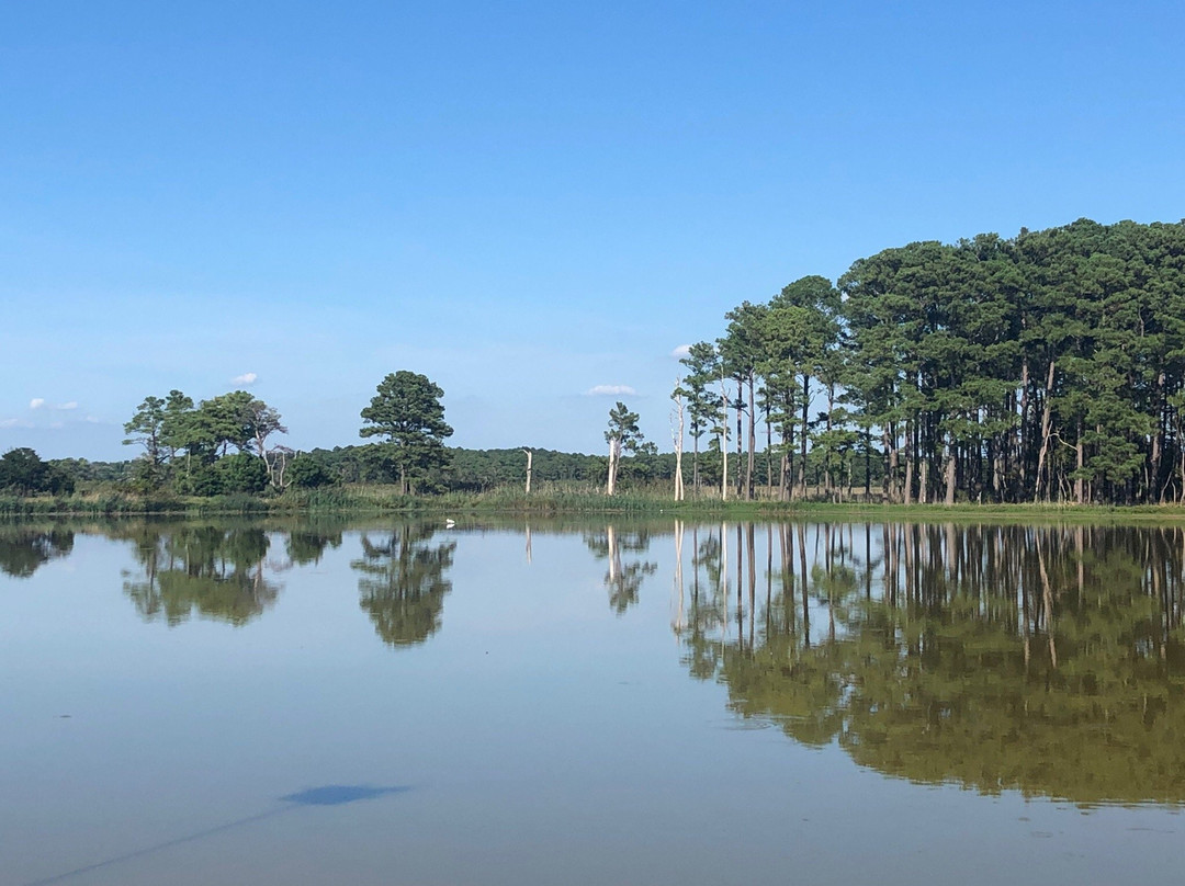 Chesapeake Bay Environmental Center景点图片