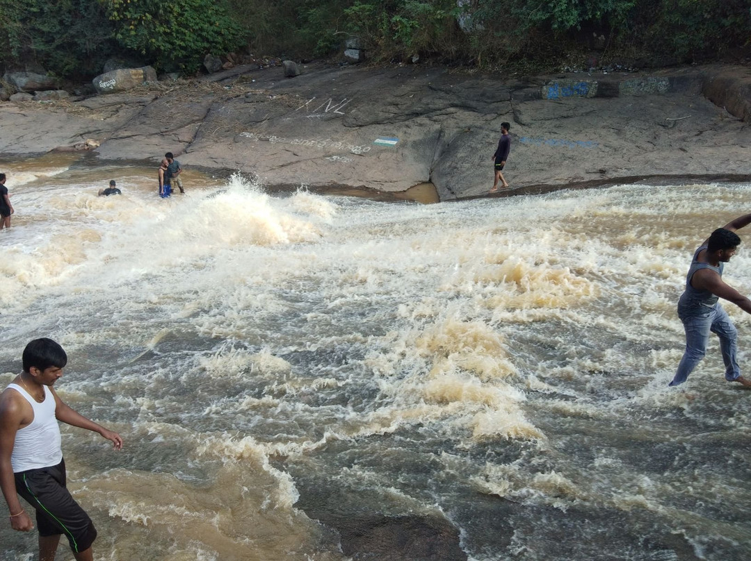 Chaparai Waterfalls景点图片