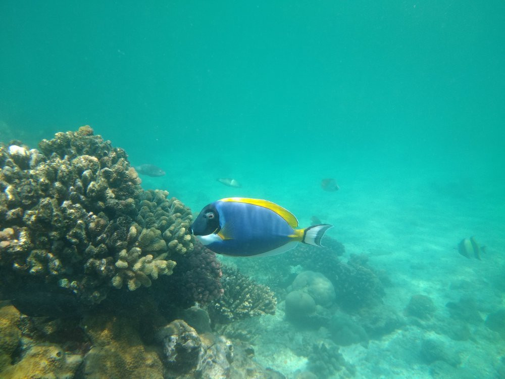 Mothassane-Vilanculos必去景点