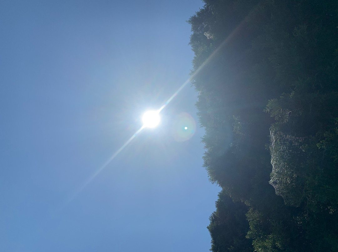 Westfield Eastgardens-Eastgardens必去景点