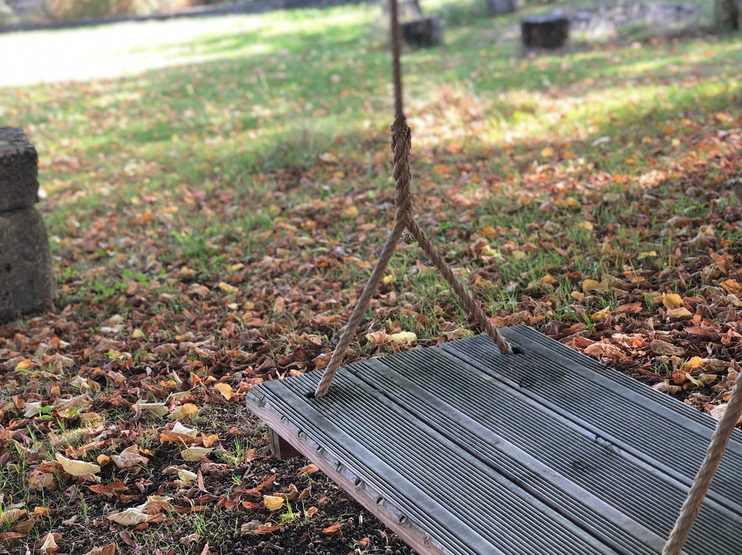 Under The Lime Tree主图