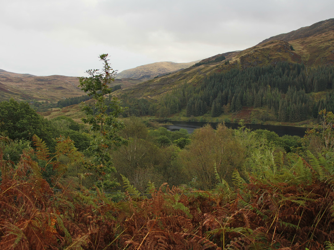 Loch Trool-Galloway Forest Park必去景点