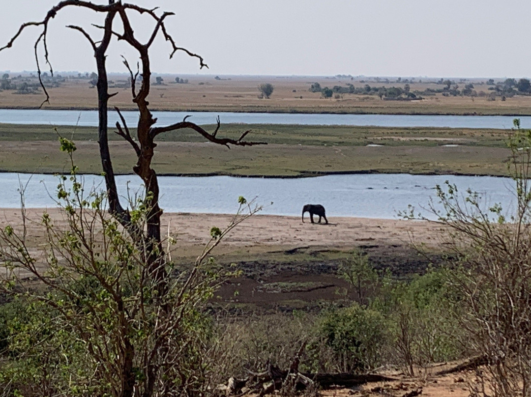 Tropical tours safaris-Chobe-卡萨尼必去景点