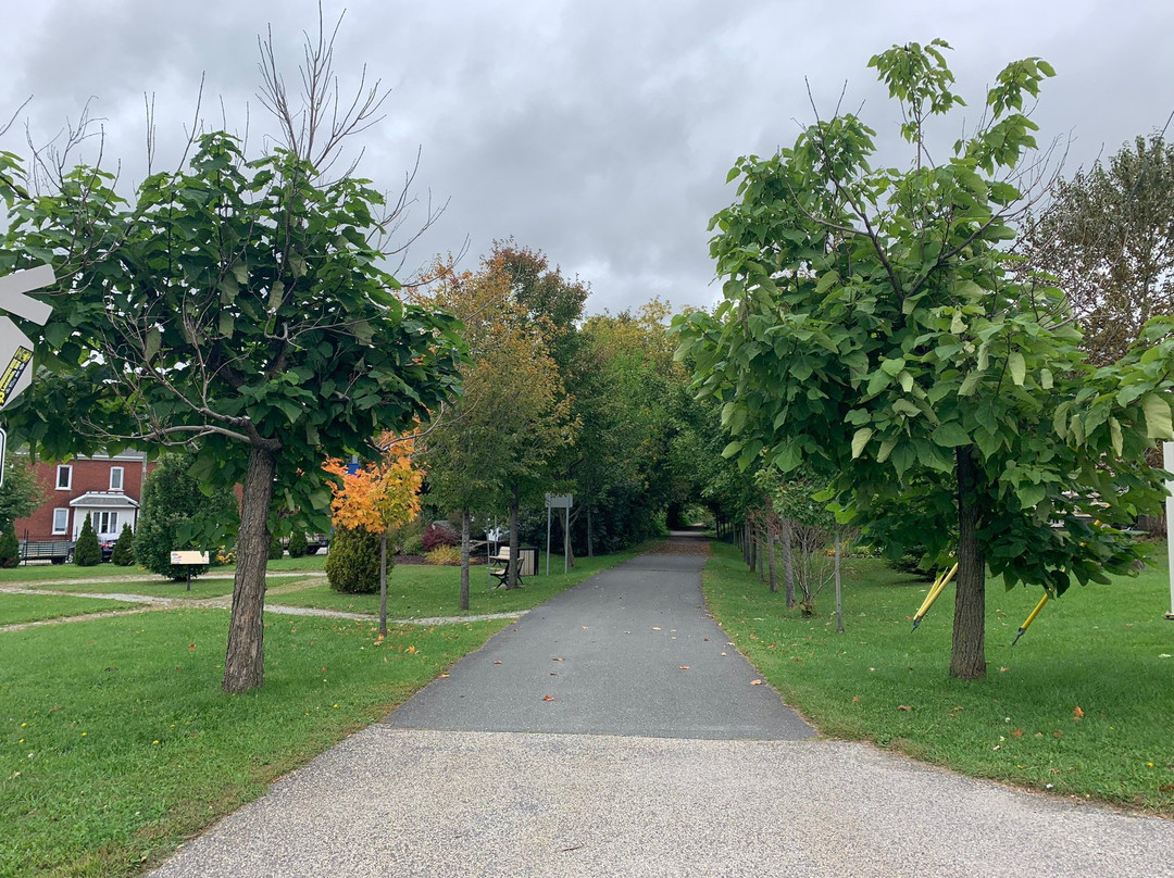 Parc lineaire des Bois-Francs  景点图片
