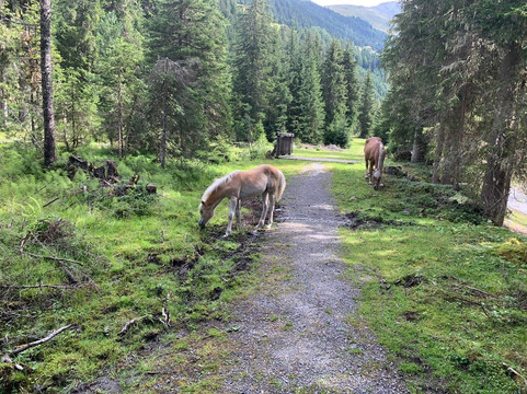 Berghotel & Gasthof Marlstein主图