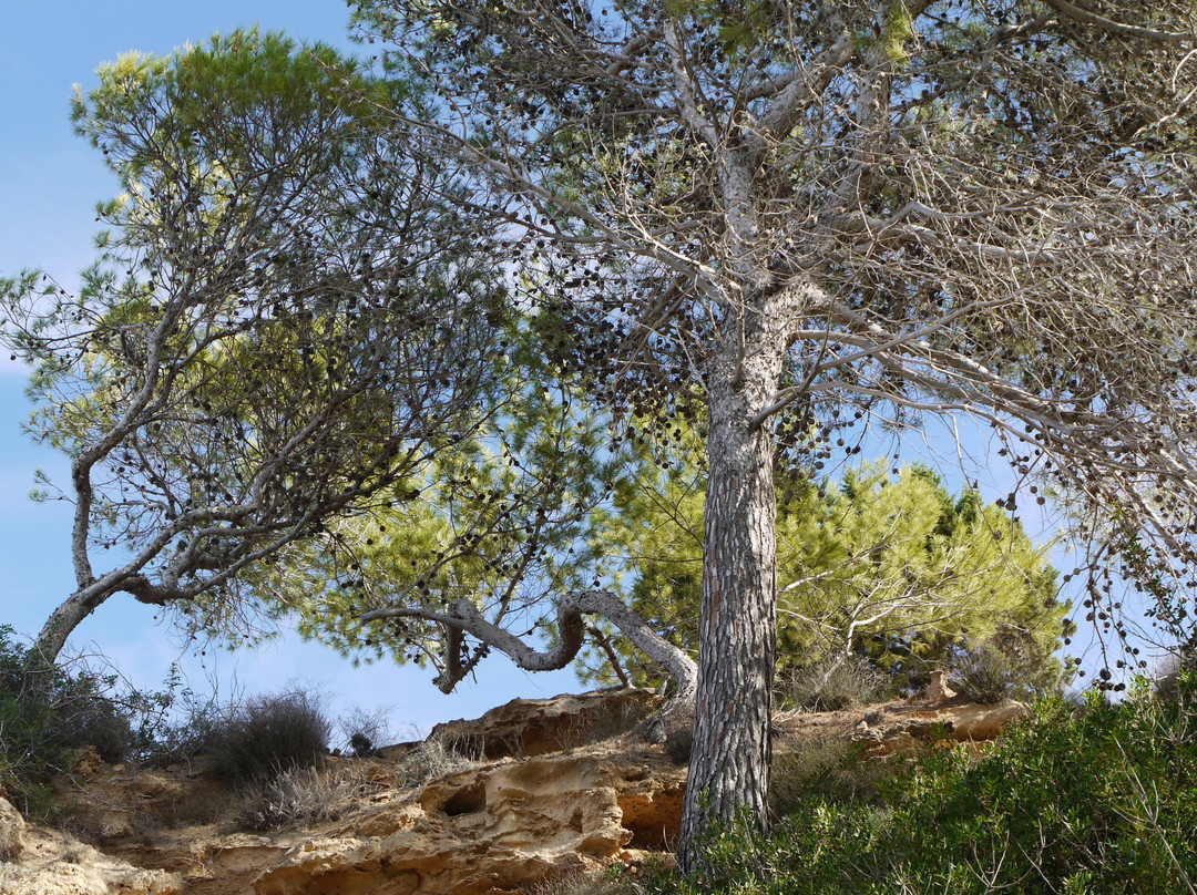 Cala S'Illot des Rencli景点图片