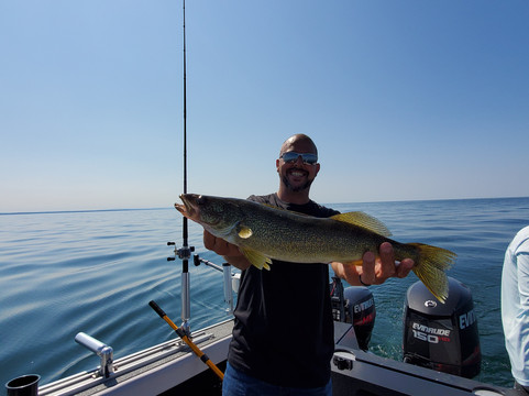 David Carter-水牛城必去景点