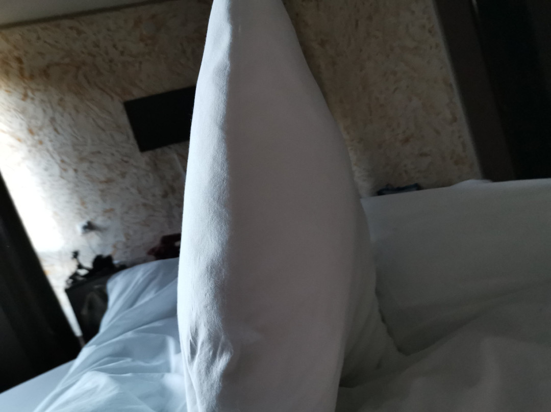 Hotel Banguriani主图