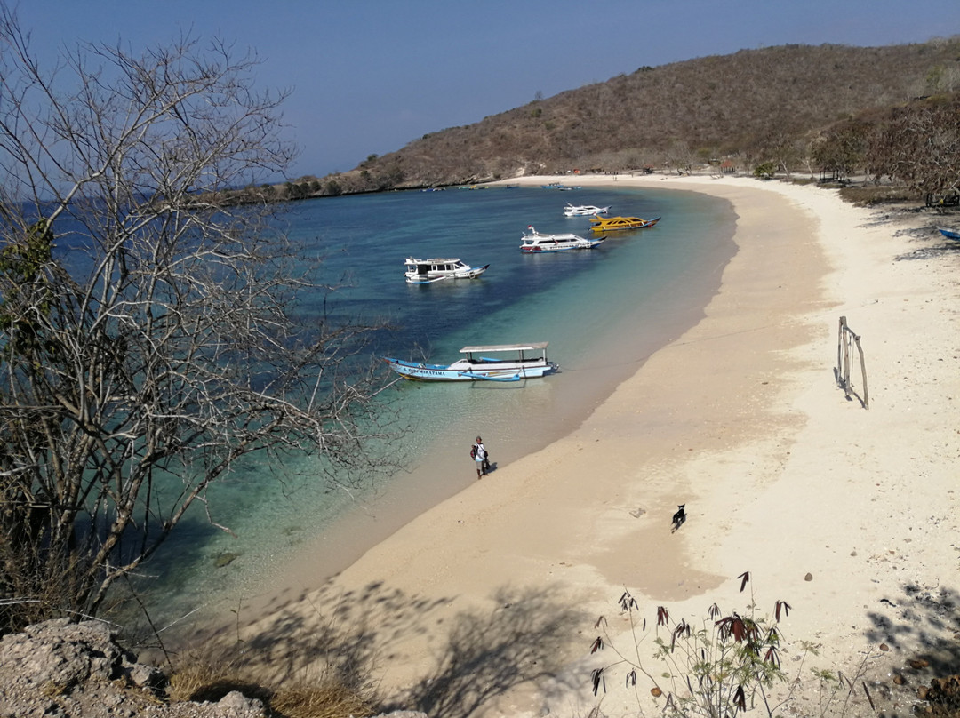 Senggigi Ocean Surf School-Senggigi必去景点