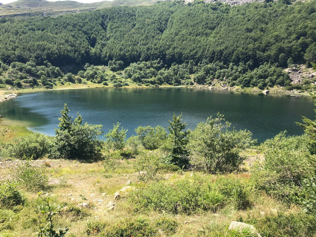 Lago Verde景点图片